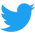 twitter color logo